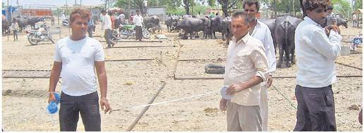 पंचायत ने काटे प्लाॅट, हर व्यापारी को बताई हद पंचायत ने काटे प्लाॅट, हर व्यापारी को बताई हद