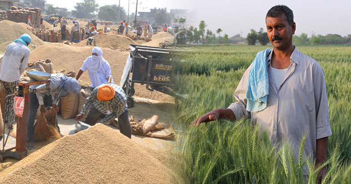 खुशखबरी! किसानों को मिलेगा अब 160 रुपये का बोनस, गेहूं अब 2,000 रुपये प्रति क्विंटल बिकेगा खुशखबरी! किसानों को मिलेगा अब 160 रुपये का बोनस, गेहूं अब 2,000 रुपये प्रति क्विंटल बिकेगा