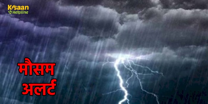 IMD Rainfall Alert: इन राज्यों में आज होगी बारिश, जानें मौसम का ताजा हाल IMD Rainfall Alert: इन राज्यों में आज होगी बारिश, जानें मौसम का ताजा हाल