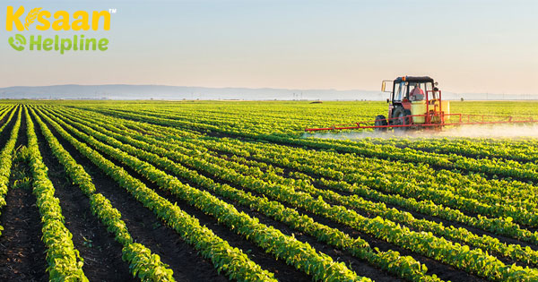 कृषि क्षेत्र COVID-19 प्रभाव से लचीला रहने की संभावना, वित्त वर्ष 21 में 2.5% बढ़ेगा: क्रिसिल कृषि क्षेत्र COVID-19 प्रभाव से लचीला रहने की संभावना, वित्त वर्ष 21 में 2.5% बढ़ेगा: क्रिसिल