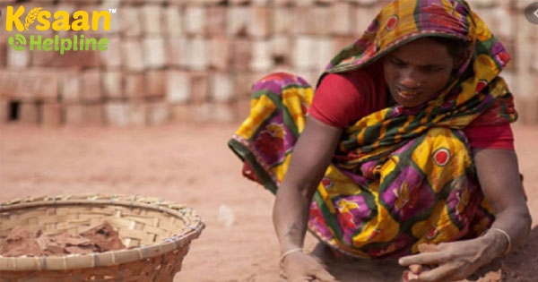 मनरेगा मजदूरों की मजदूरी बैंक खाते में देने के लिए कदम उठा रही सरकार: नरेंद्र सिंह तोमर मनरेगा मजदूरों की मजदूरी बैंक खाते में देने के लिए कदम उठा रही सरकार: नरेंद्र सिंह तोमर