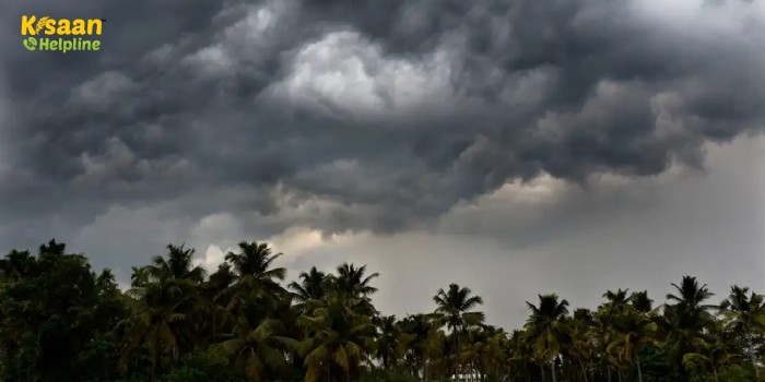IMD Monsoon Update: मौसम विभाग ने जारी किया मानसून को लेकर बड़ा अपडेट, मानसून के लिए अभी करना होगा और इंतजार IMD Monsoon Update: मौसम विभाग ने जारी किया मानसून को लेकर बड़ा अपडेट, मानसून के लिए अभी करना होगा और इंतजार