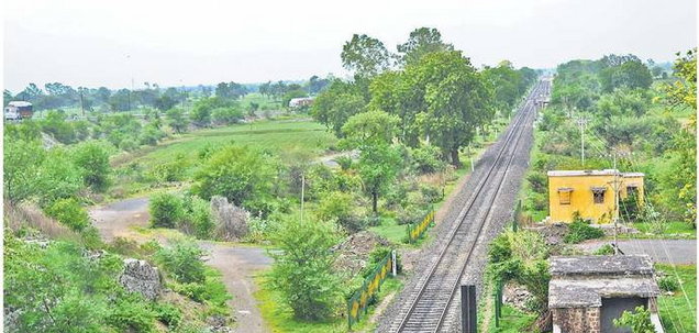 बारिश न सही हरियाली से कर लें संतोष बारिश न सही हरियाली से कर लें संतोष