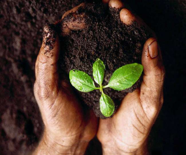 ज्ञानी लोगो से जब बात मिट्टी की करें तो हाव-भाव देखने लायक होते ज्ञानी लोगो से जब बात मिट्टी की करें तो हाव-भाव देखने लायक होते