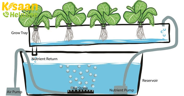 मिट्टी के बिना पौधे और सब्जियां उगाएं, जानिए कैसे? मिट्टी के बिना पौधे और सब्जियां उगाएं, जानिए कैसे?