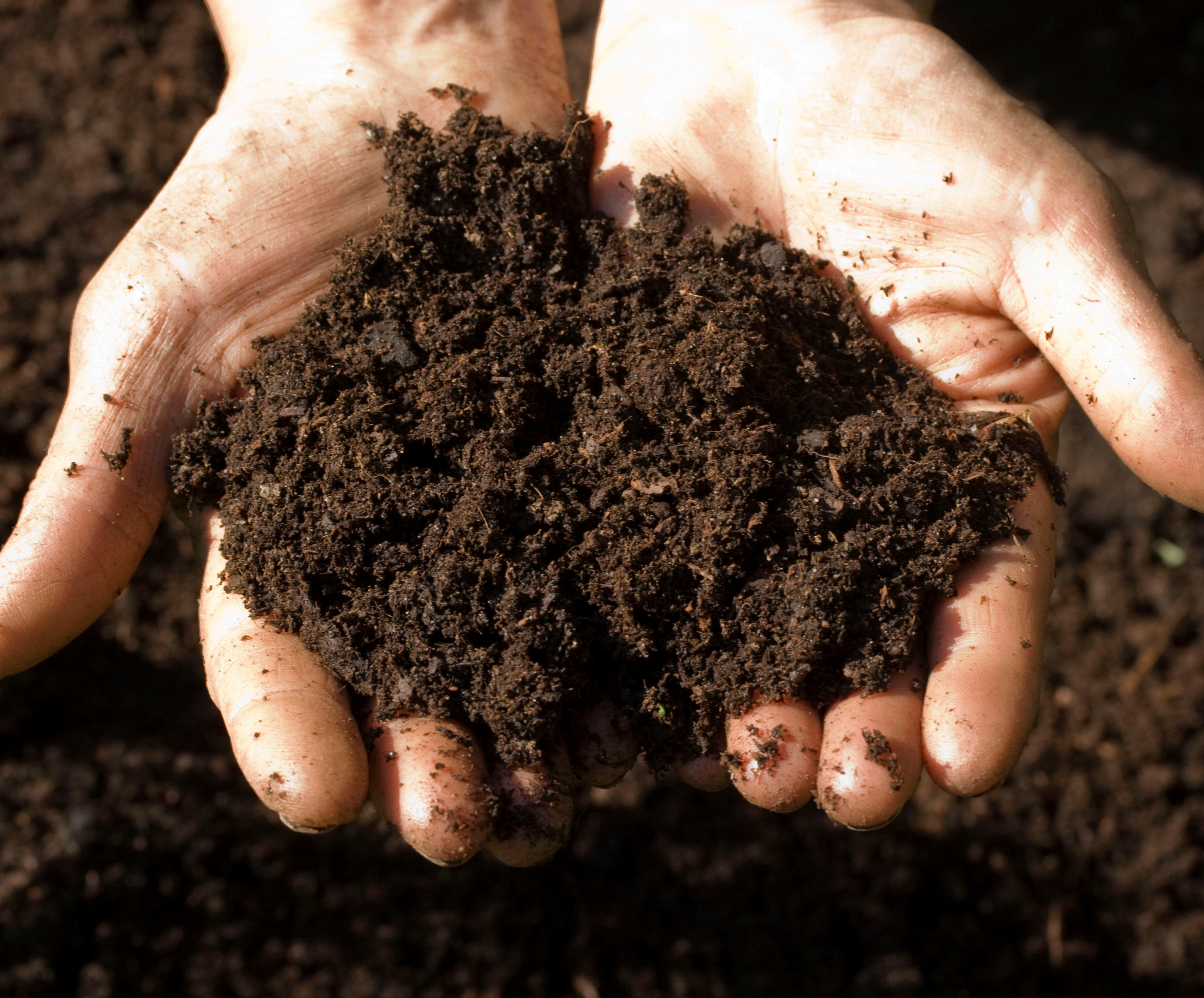 आर्गेनिक खाद का प्रयोग कर बढ़ाये अपनी फसल का उत्पादन और गुणवत्ता, जाने पूरी विधि आर्गेनिक खाद का प्रयोग कर बढ़ाये अपनी फसल का उत्पादन और गुणवत्ता, जाने पूरी विधि