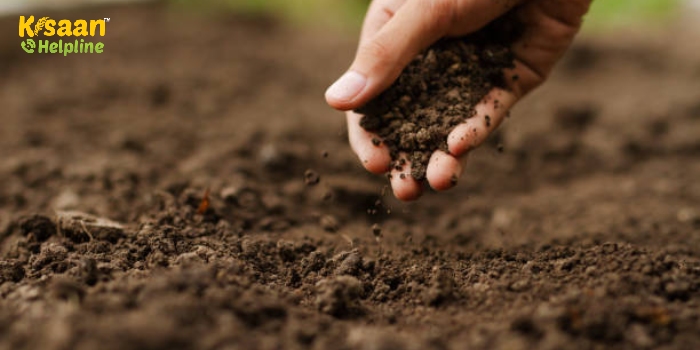 भारत ने पिछले 45 वर्षों में मिट्टी के स्वास्थ्य को नष्ट कर दिया: सद्गुरु का वृक्ष आधारित कृषि का आह्वान भारत ने पिछले 45 वर्षों में मिट्टी के स्वास्थ्य को नष्ट कर दिया: सद्गुरु का वृक्ष आधारित कृषि का आह्वान