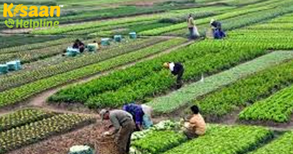 2020 हमें सामाजिक रूप से जिम्मेदार निवेश के लिए प्रेरित कर रहा है, क्वांटम एमएफ के जिमी पटेल 2020 हमें सामाजिक रूप से जिम्मेदार निवेश के लिए प्रेरित कर रहा है, क्वांटम एमएफ के जिमी पटेल