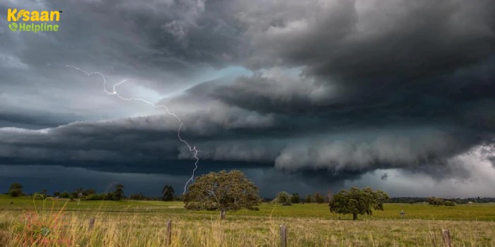 Rain Alert: मध्यप्रदेश, राजस्थान, गुजरात समेत इन राज्यों में भारी बारिश की संभावना, जानें मौसम विभाग की चेतावनी Rain Alert: मध्यप्रदेश, राजस्थान, गुजरात समेत इन राज्यों में भारी बारिश की संभावना, जानें मौसम विभाग की चेतावनी