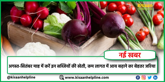 अगस्त-सितंबर माह में करें इन सब्जियों की खेती, कम लागत में आय बढ़ाने का बेहतर जरिया अगस्त-सितंबर माह में करें इन सब्जियों की खेती, कम लागत में आय बढ़ाने का बेहतर जरिया