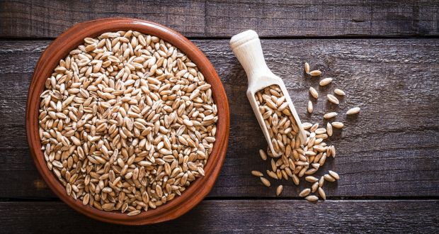 जानिए बीज शोधन करने का तरीका, होंगे काफी फायदे जानिए बीज शोधन करने का तरीका, होंगे काफी फायदे