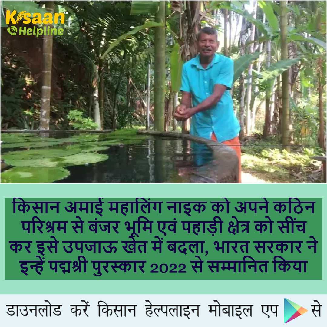 प्रेरक किसान: एक किसान अपने कठिन परिश्रम से बंजर भूमि एवं पहाड़ी क्षेत्र को सींच कर इसे उपजाऊ खेत में बदला प्रेरक किसान: एक किसान अपने कठिन परिश्रम से बंजर भूमि एवं पहाड़ी क्षेत्र को सींच कर इसे उपजाऊ खेत में बदला