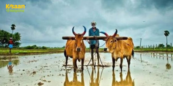 हिमाचल प्रदेश में प्राकृतिक खेती करने वाले लगभग 150,000 किसानों को किया जाएगा प्रमाणित हिमाचल प्रदेश में प्राकृतिक खेती करने वाले लगभग 150,000 किसानों को किया जाएगा प्रमाणित