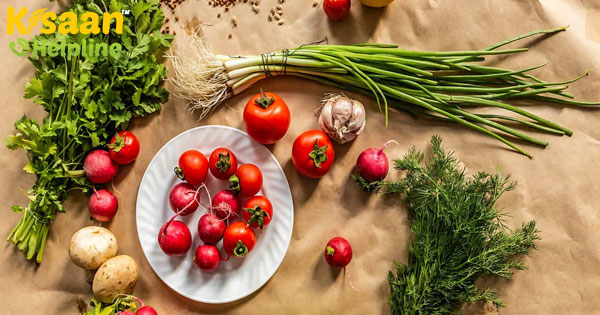 भारत में जैविक खाद्य की मांग बढ़ रही है, लोग जैविक खेती की और अग्रसर हो रहें है भारत में जैविक खाद्य की मांग बढ़ रही है, लोग जैविक खेती की और अग्रसर हो रहें है