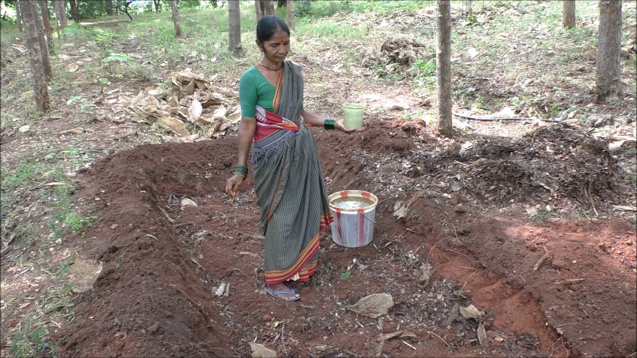 जैविक खेती के लिए सरकारी योजनाओं से लाभ जैविक खेती के लिए सरकारी योजनाओं से लाभ