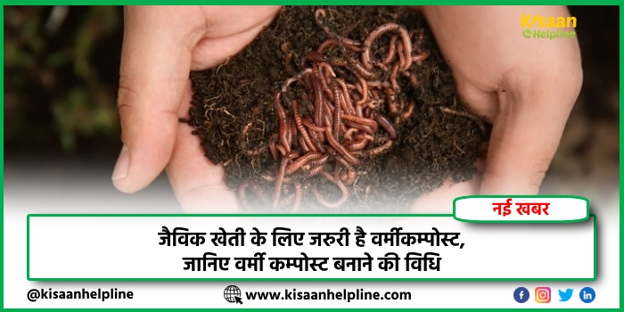 जैविक खेती के लिए जरुरी है वर्मीकम्पोस्ट, जानिए वर्मी कम्पोस्ट बनाने की विधि जैविक खेती के लिए जरुरी है वर्मीकम्पोस्ट, जानिए वर्मी कम्पोस्ट बनाने की विधि