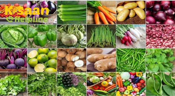 तमिलनाडु की फार्म-टू-टेबल योजना शुरू, है जानिए यह क्या है