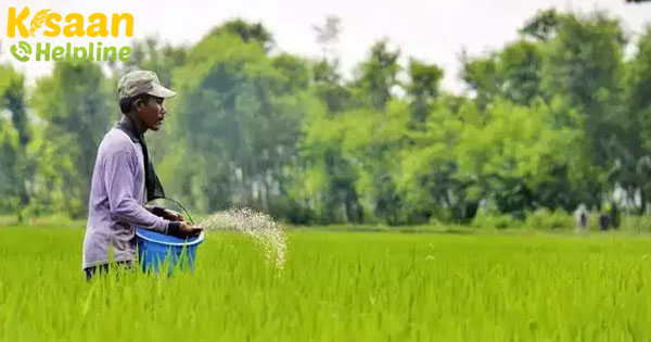जैव उत्तेजक के लिए नियमित रूप से छात्रों को रोजगार प्राप्त करना जैव उत्तेजक के लिए नियमित रूप से छात्रों को रोजगार प्राप्त करना