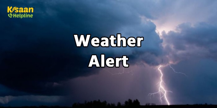 IMD Weather Alert : मानसून एक हफ्ते की देरी के बाद पहुंचा केरल, मौसम विभाग ने जारी किया अलर्ट IMD Weather Alert : मानसून एक हफ्ते की देरी के बाद पहुंचा केरल, मौसम विभाग ने जारी किया अलर्ट