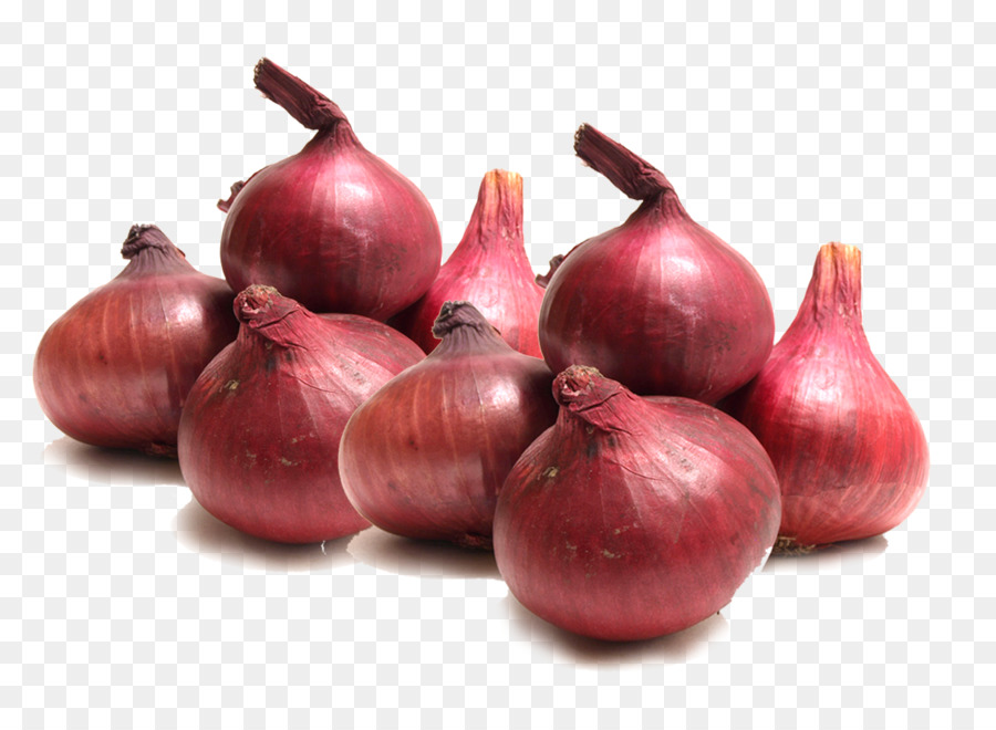 प्याज की उन्नत खेती जाने पूरी विधि और भी अतिरिक्त जानकारी प्याज की उन्नत खेती जाने पूरी विधि और भी अतिरिक्त जानकारी