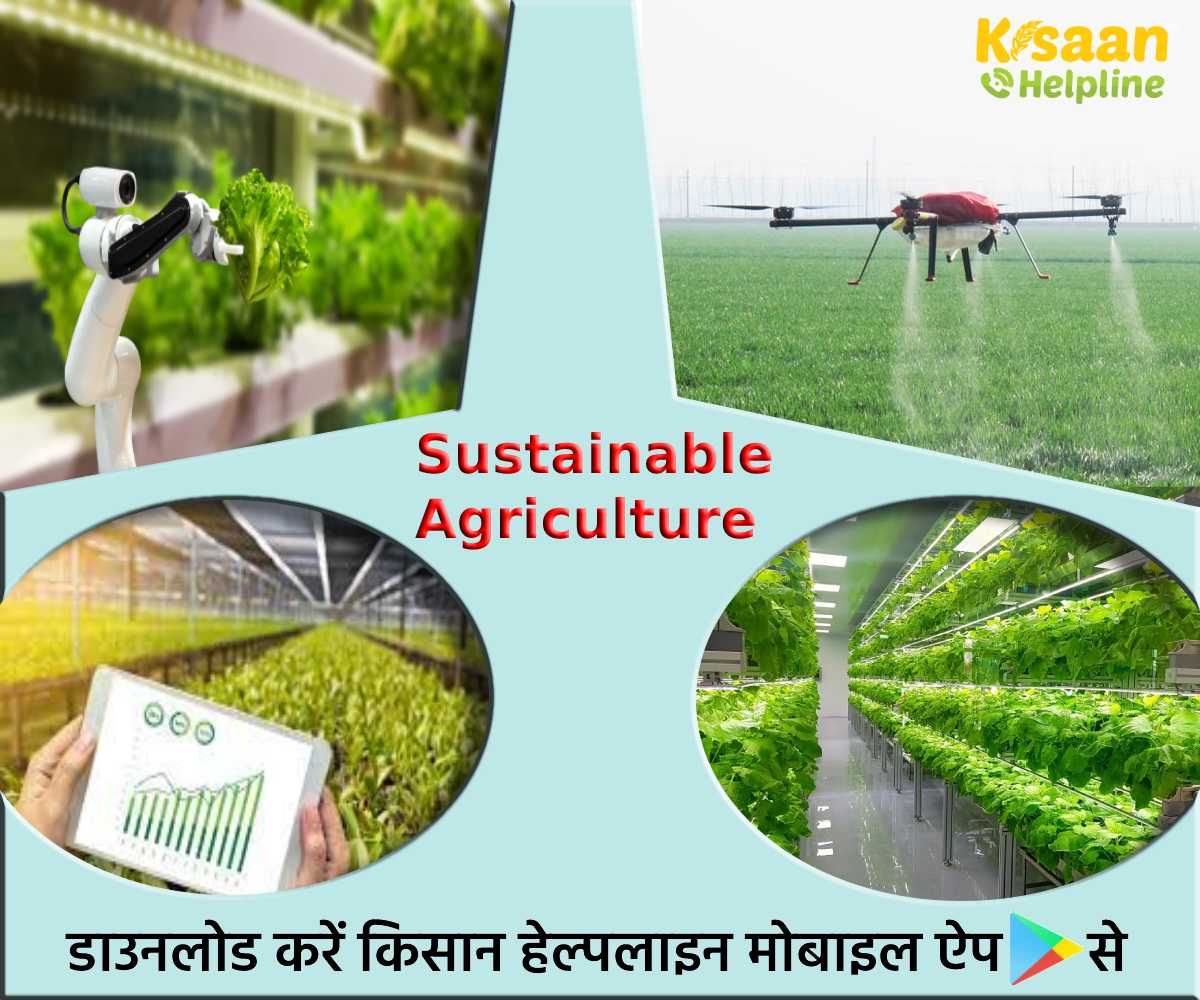 Sustainable Agriculture: नई-नई तकनीक और विज्ञान के साथ खेती को अधिक टिकाऊ बनाना Sustainable Agriculture: नई-नई तकनीक और विज्ञान के साथ खेती को अधिक टिकाऊ बनाना