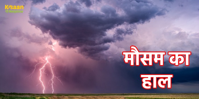 इन राज्यों में आज बारिश के साथ आंधी-तूफान का अलर्ट, जानें अपने इलाके का मौसम का हाल इन राज्यों में आज बारिश के साथ आंधी-तूफान का अलर्ट, जानें अपने इलाके का मौसम का हाल