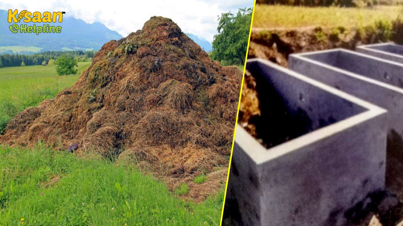 उत्तर पश्चिम हिमालय क्षेत्रों में उच्च गुणवत्ता वाली कम्पोस्ट खाद तैयार करने हेतु वायुजीवी गड्ढा विधि उत्तर पश्चिम हिमालय क्षेत्रों में उच्च गुणवत्ता वाली कम्पोस्ट खाद तैयार करने हेतु वायुजीवी गड्ढा विधि