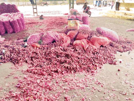 प्याज का बना खेल, खिलौना बने किसान प्याज का बना खेल, खिलौना बने किसान