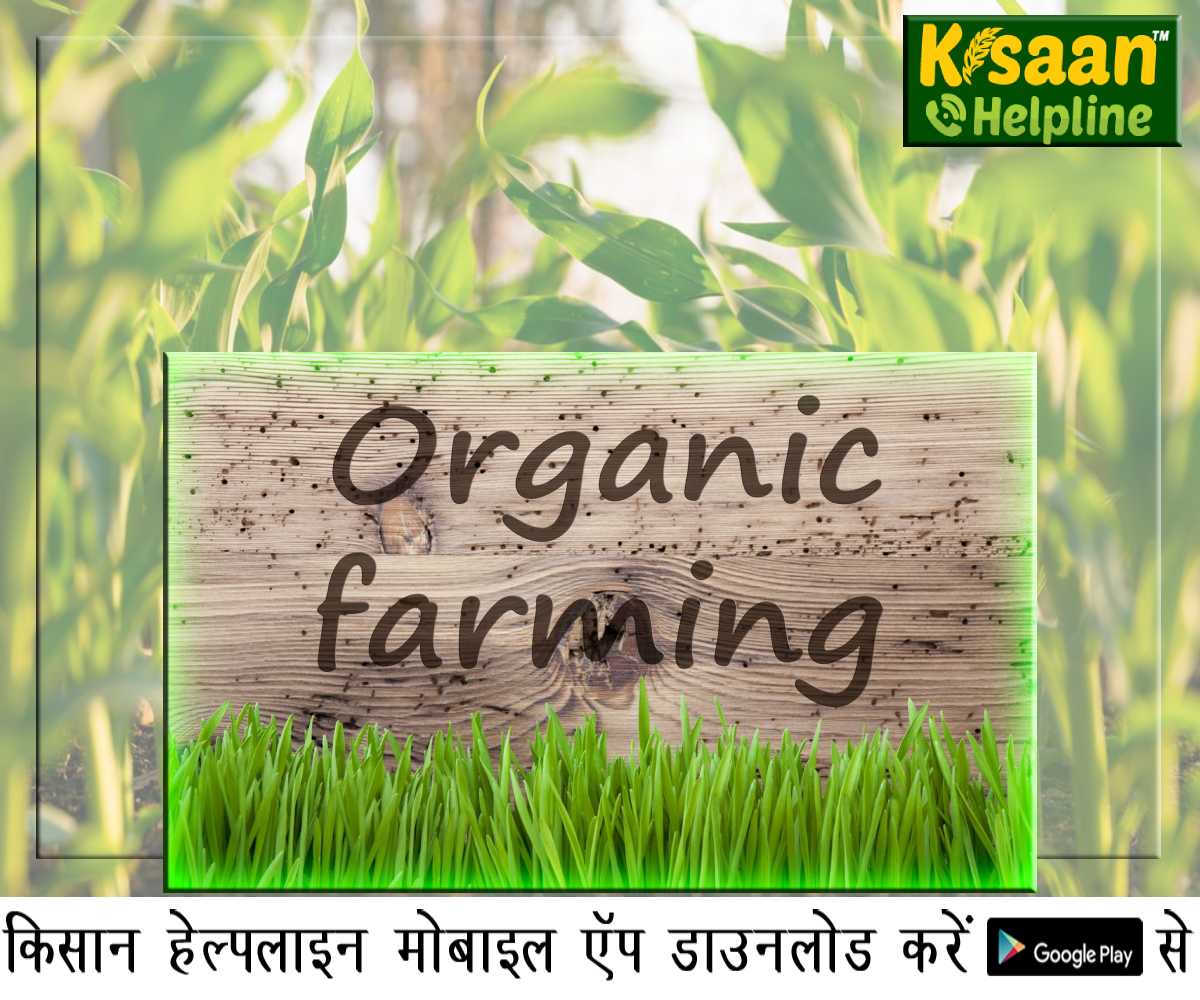 कृषि वैज्ञानिक ने कहा किसान खेती से दोगुना कर सकते हैं अपनी आय कृषि वैज्ञानिक ने कहा किसान खेती से दोगुना कर सकते हैं अपनी आय