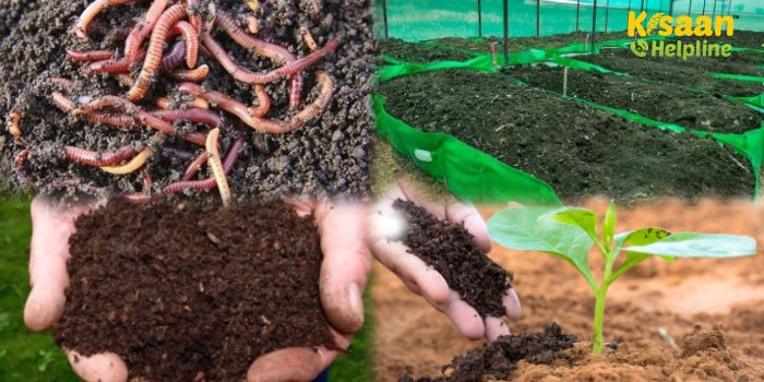 किसानों का मित्र है केंचुआ, जानिए केंचुआ खाद बनाने के लिए उचित स्थान, समय, सामग्री और प्रयोग मात्रा के बारे में किसानों का मित्र है केंचुआ, जानिए केंचुआ खाद बनाने के लिए उचित स्थान, समय, सामग्री और प्रयोग मात्रा के बारे में
