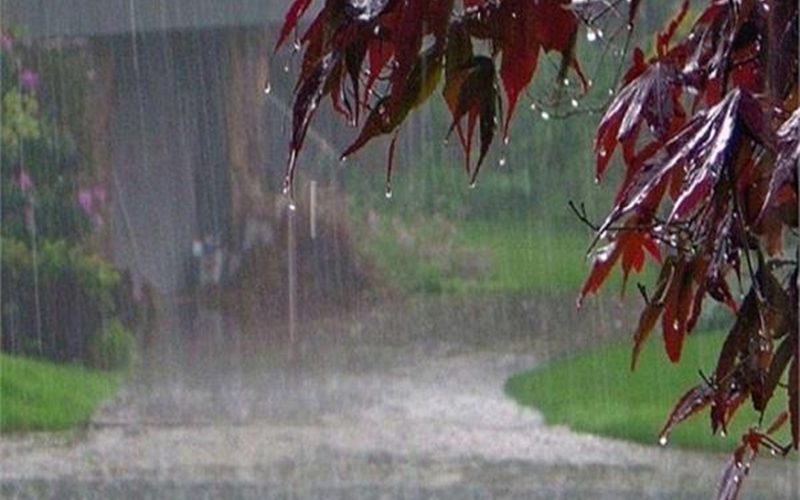 मध्य प्रदेश के कई इलाकों में देश के तेज हवा के साथ बारिश हुई गरज चमक के साथ ओले गिरने के आसार मध्य प्रदेश के कई इलाकों में देश के तेज हवा के साथ बारिश हुई गरज चमक के साथ ओले गिरने के आसार