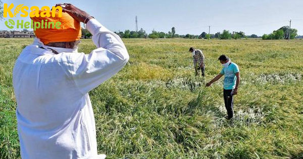 कृषि क्षेत्र को कोरोनावायरस से प्रभावित नहीं किया जाएगा: कृषि मंत्री कृषि क्षेत्र को कोरोनावायरस से प्रभावित नहीं किया जाएगा: कृषि मंत्री