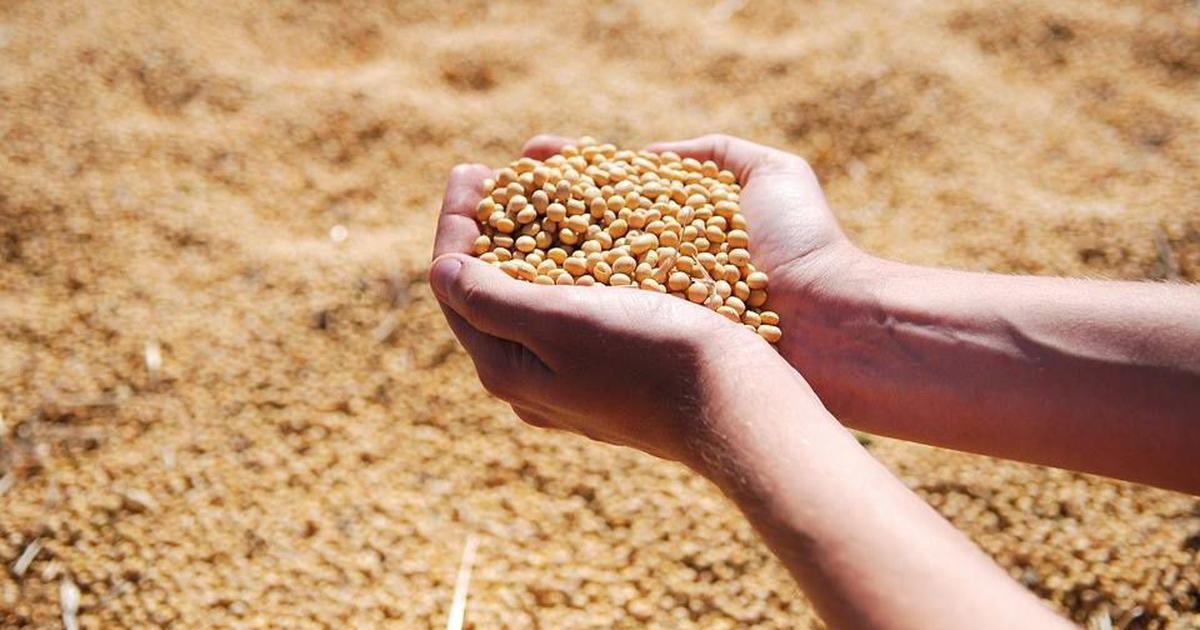 इंदौर, धार, उज्जैन, मंदसौर, नीमच, रतलाम, देवास, शाजापुर के लिए सोयाबीन की कुछ उन्नत क़िस्म इंदौर, धार, उज्जैन, मंदसौर, नीमच, रतलाम, देवास, शाजापुर के लिए सोयाबीन की कुछ उन्नत क़िस्म