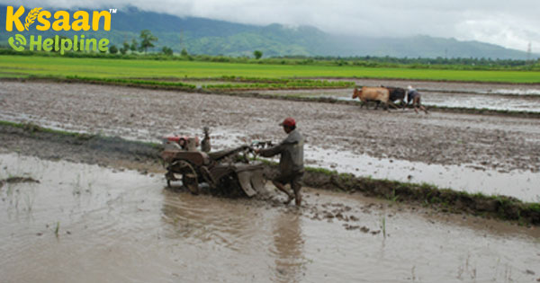 किसानों को सशक्त बनाने, कृषि क्षेत्र को बदलने के लिए सरकार ने बड़े फैसले लिए किसानों को सशक्त बनाने, कृषि क्षेत्र को बदलने के लिए सरकार ने बड़े फैसले लिए