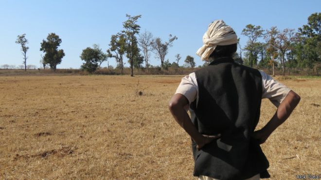 बट रहे खेत, बढ़ रहा बोझ, देश के किसानों के लिए खेती करना एक बड़ी चुनौती बट रहे खेत, बढ़ रहा बोझ, देश के किसानों के लिए खेती करना एक बड़ी चुनौती