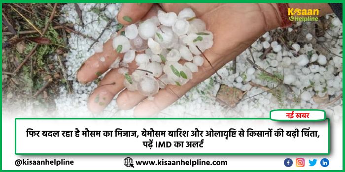 फिर बदल रहा है मौसम का मिजाज, बेमौसम बारिश और ओलावृष्टि से किसानों की बढ़ी चिंता, पढ़ें IMD का अलर्ट फिर बदल रहा है मौसम का मिजाज, बेमौसम बारिश और ओलावृष्टि से किसानों की बढ़ी चिंता, पढ़ें IMD का अलर्ट