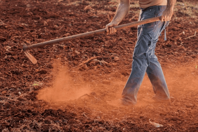 कैसे बनायें कृषि में अपना करियर: कैसे बनें किसान यहां बताया गया  कैसे बनायें कृषि में अपना करियर: कैसे बनें किसान यहां बताया गया