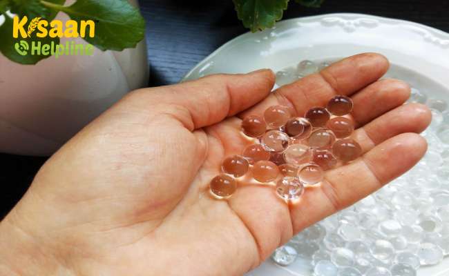 हाइड्रोजेल किसानों के भाग्य को बदल सकता है, इसकी मदद से वे कम पानी में भी खेती कर सकते हैं हाइड्रोजेल किसानों के भाग्य को बदल सकता है, इसकी मदद से वे कम पानी में भी खेती कर सकते हैं