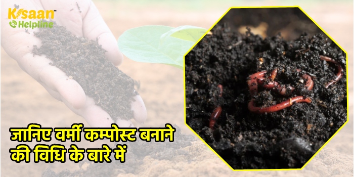 जानिए वर्मी कम्पोस्ट बनाने की विधि के बारे में जानिए वर्मी कम्पोस्ट बनाने की विधि के बारे में