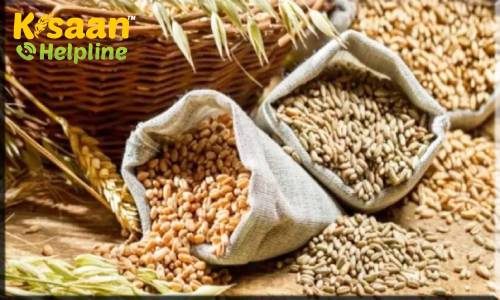 फसल वर्ष 2020-21 में खाद्यान्न उत्पादन 308.65 मिलियन टन के नए रिकॉर्ड को छूने का अनुमान: कृषि मंत्रालय  फसल वर्ष 2020-21 में खाद्यान्न उत्पादन 308.65 मिलियन टन के नए रिकॉर्ड को छूने का अनुमान: कृषि मंत्रालय