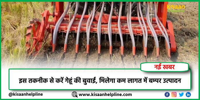 इस तकनीक से करें गेहूं की बुवाई, मिलेगा कम लागत में बम्पर उत्पादन