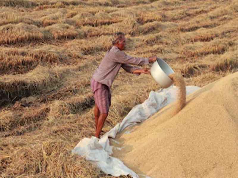 किसानों के हित में लिया गया बड़ा फैसला, मंडी में नहीं बेचना पड़ेगा अनाज किसानों के हित में लिया गया बड़ा फैसला, मंडी में नहीं बेचना पड़ेगा अनाज
