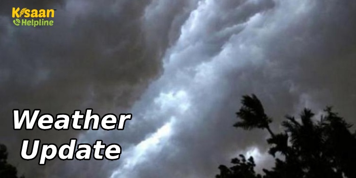 Weather Update: चक्रवाती तूफान बिपरजॉय के चलते मौसम में बदलाव, इन राज्यों में बारिश और भीषण गर्मी की चेतावनी, IMD ने जारी किया अलर्ट Weather Update: चक्रवाती तूफान बिपरजॉय के चलते मौसम में बदलाव, इन राज्यों में बारिश और भीषण गर्मी की चेतावनी, IMD ने जारी किया अलर्ट