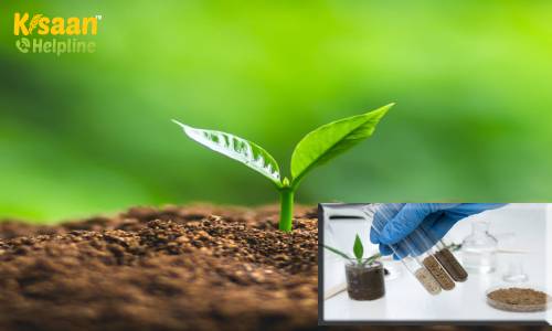 'हर खेत- स्वस्थ खेत' अभियान के तहत हरियाणा सरकार ने किया 40 नई भूमि परीक्षण प्रयोगशालाओं का उद्घाटन, 25 लाख एकड़ भूमि का होगा मिट्टी परिक्षण 'हर खेत- स्वस्थ खेत' अभियान के तहत हरियाणा सरकार ने किया 40 नई भूमि परीक्षण प्रयोगशालाओं का उद्घाटन, 25 लाख एकड़ भूमि का होगा मिट्टी परिक्षण