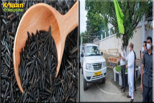 मणिपुर ने जैविक काले चावल की खेप यूरोप भेजी, मणिपुर के  मुख्यमंत्री बीरेन सिंह ने दिखाई हरी झंडी मणिपुर ने जैविक काले चावल की खेप यूरोप भेजी, मणिपुर के  मुख्यमंत्री बीरेन सिंह ने दिखाई हरी झंडी