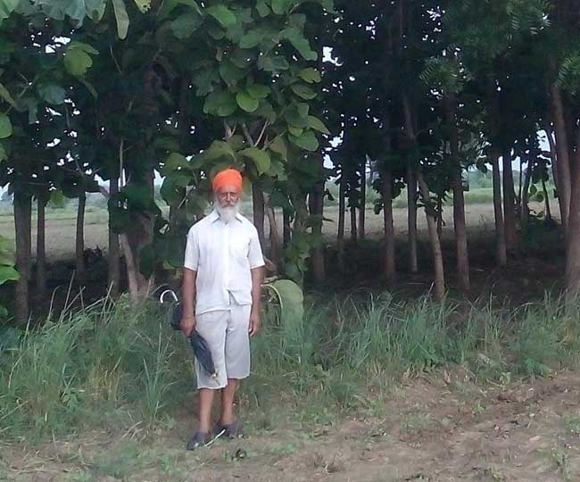 एक बीघा खेत में, सागौन के 500 पेड़, और15 साल में करोड़पति बना किसान एक बीघा खेत में, सागौन के 500 पेड़, और15 साल में करोड़पति बना किसान