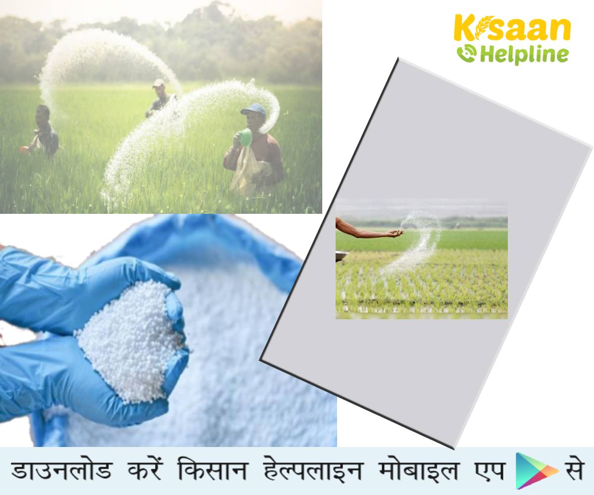 केंद्र सरकार ने उठाया बड़ा कदम फॉस्फेटिक व पोटासिक फर्टिलाइजर्स के लिये पोषक तत्व पर आधारित सब्सिडी दरों के निर्धारण को दी मंजूरी