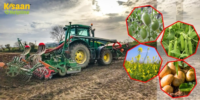 Rabi Season 2022: जल्द निपटा लें ये काम और करें उन्नत किस्मों के साथ चना, मटर, आलू और सरसों की बुवाई Rabi Season 2022: जल्द निपटा लें ये काम और करें उन्नत किस्मों के साथ चना, मटर, आलू और सरसों की बुवाई