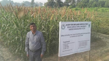 हाई क्लास डिश बनेगी अब बाजरा, कोदो, रागी हाई क्लास डिश बनेगी अब बाजरा, कोदो, रागी