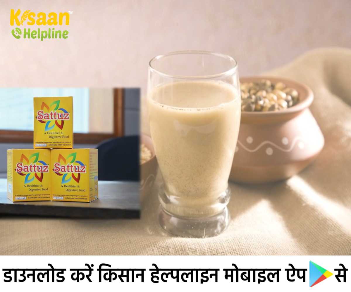 Unique Story: नौकरी छोड़कर एक युवक ने शुरू किया सत्तू का व्यापार, देश-विदेशों में मिल रही स्टार्टअप को पहचान Unique Story: नौकरी छोड़कर एक युवक ने शुरू किया सत्तू का व्यापार, देश-विदेशों में मिल रही स्टार्टअप को पहचान